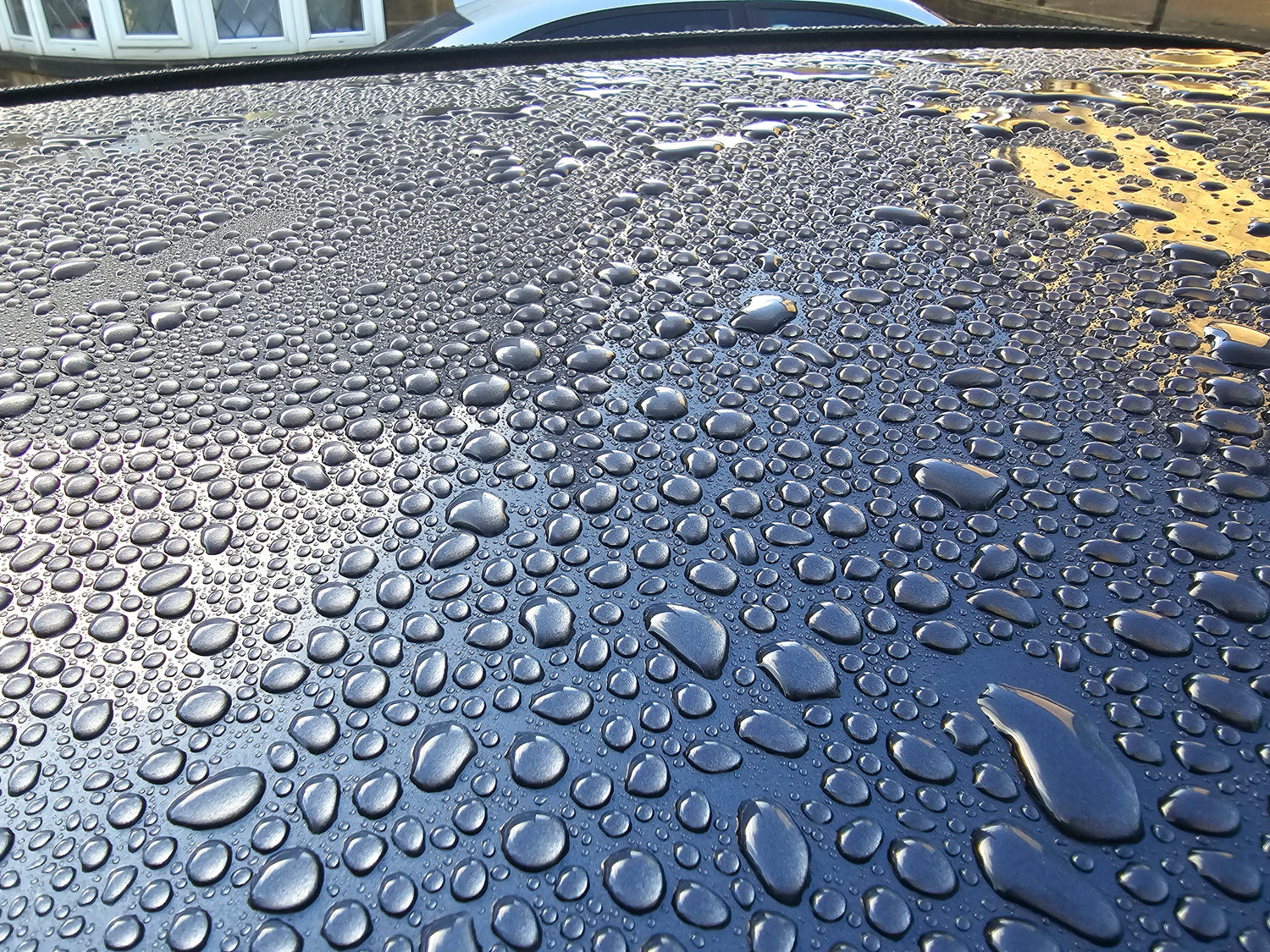 Ceramic Coatings / Sealants